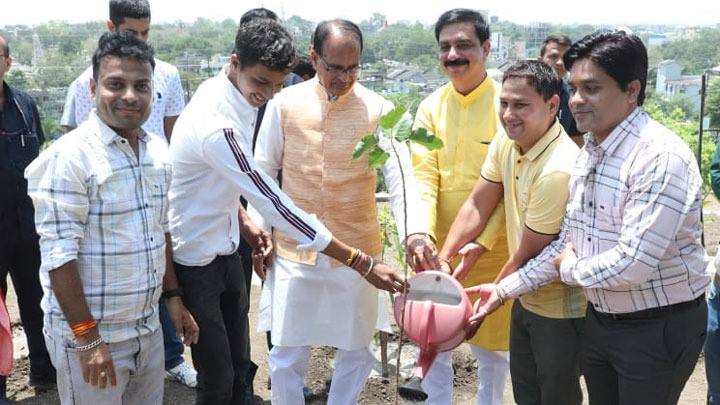 मुख्यमंत्री श्री चौहान ने लगाए बरगद, पीपल आम और जामुन के पौधे